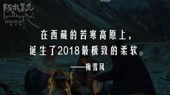 国产三级黄色毛片 第3张 国产三级黄色毛片 第3张