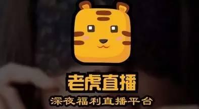 国产深夜福利在线播放,揭秘深夜娱乐新潮流 第3张 国产深夜福利在线播放,揭秘深夜娱乐新潮流 第3张