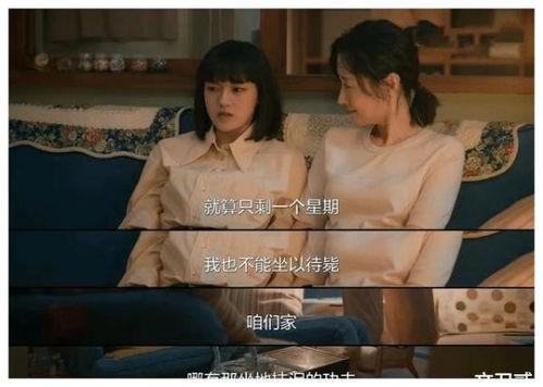 国产对白在线正在播放